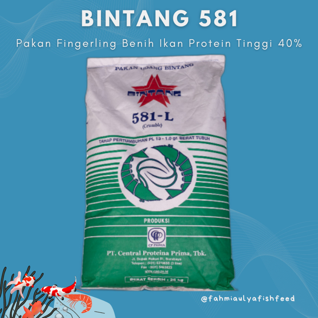 PAKAN IKAN MURAH (KEMASAN 1 KG) BINTANG 581 - 10  PAKAN BENIH IKAN PROTEIN TINGGI 40% | PAKAN BENIH 