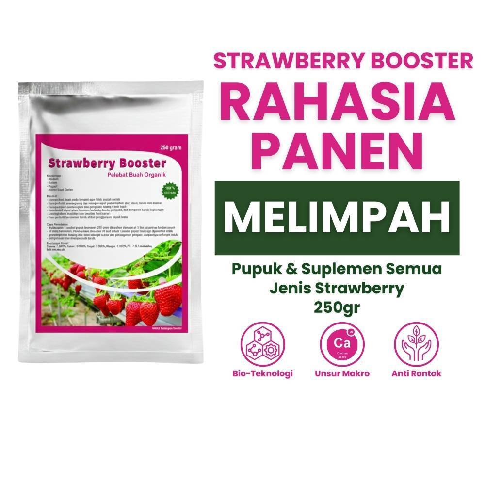 Pupuk Stroberi 250 gram - Pupuk Pelebat Buah Stroberi 250 gram - Pupuk Stroberi Multifungsi