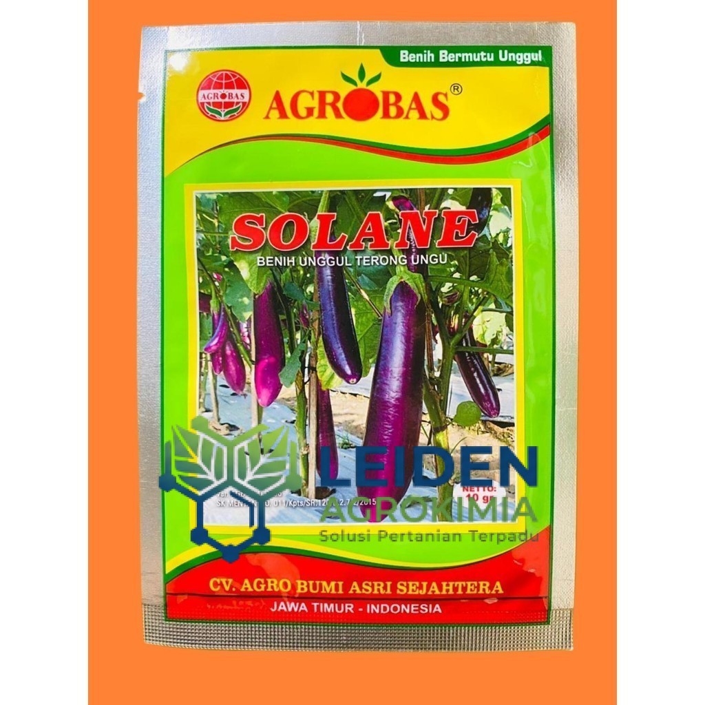 Benih Unggul Terong Ungu SOLANE 10 gram Agrobas