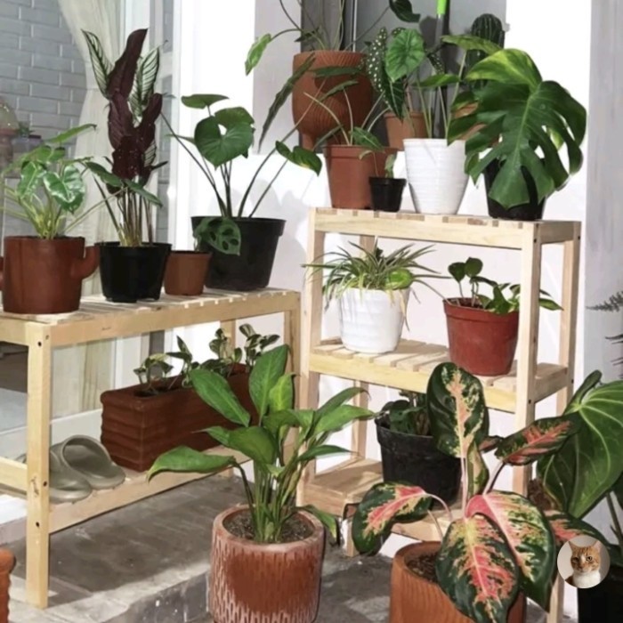 Rak sepatu rak buku rak aquarium rak serbaguna kayu 3 susun natural