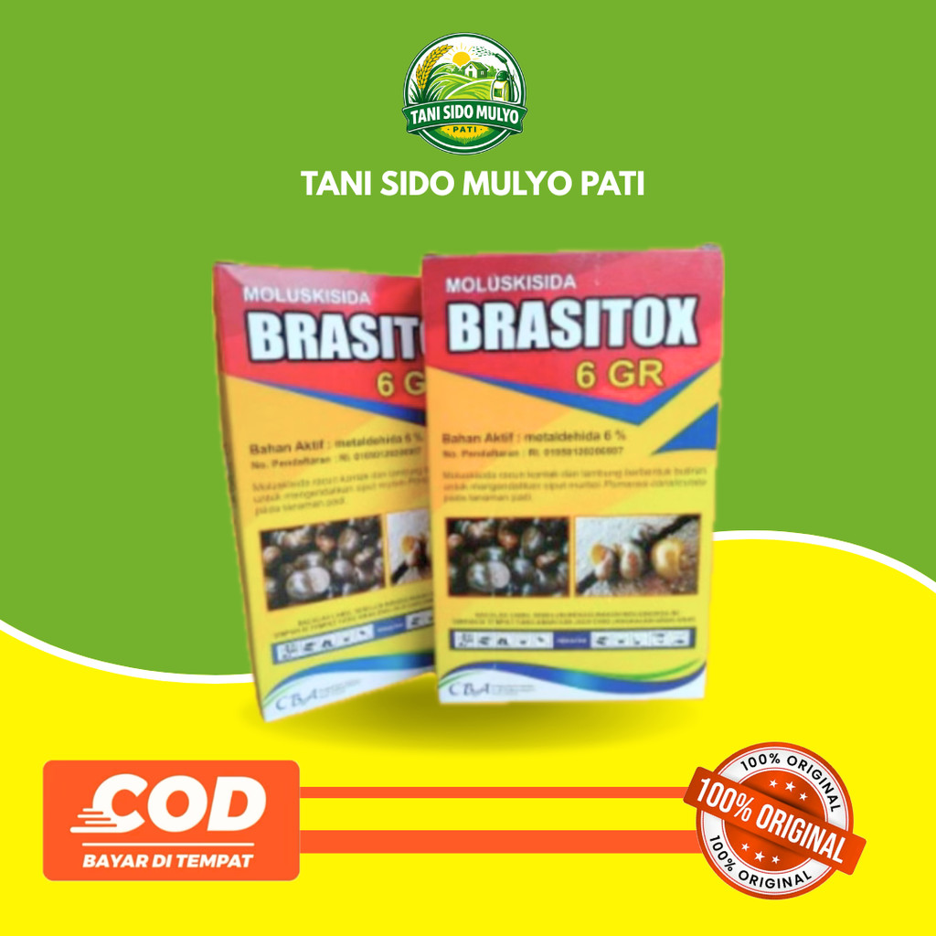 Brasitox Molukisida Racun Ampuh Semua Jenis Siput dan Keong