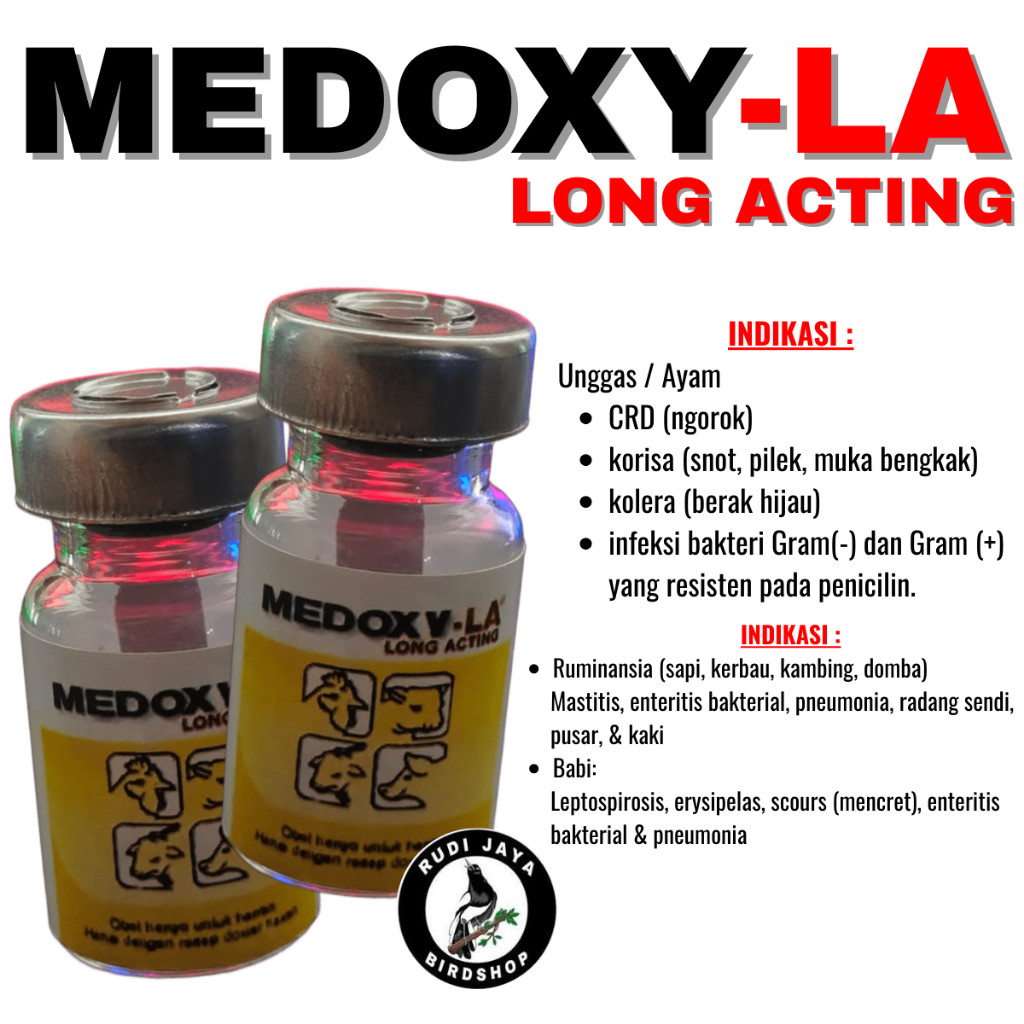 MEDOXY-LA 5ML INJEKSI MEDOXY LA MEDION ANTIBIOTIK OBAT AYAM KUCING KELINCI SAPI KAMBING BABI KUDA