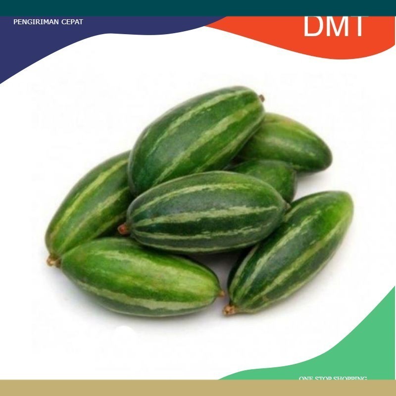 Mentimun Krai Timun Krai