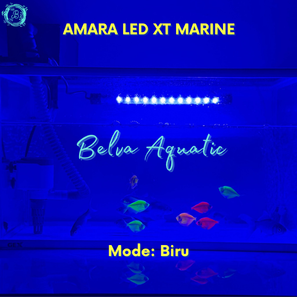 LED DBL LAMPU LED AQUARIUM 3 MODE Lampu Celup Aquarium Lampu Biru