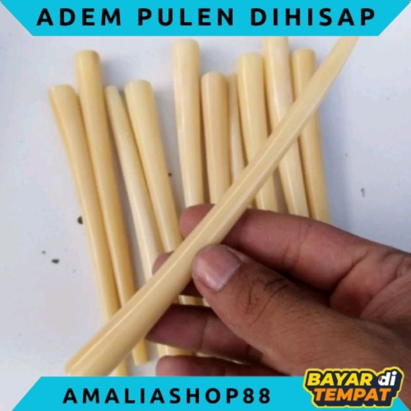 ONCE PIPA TULANG UNTA RASA SEPERTI GADING YANG PANJANG