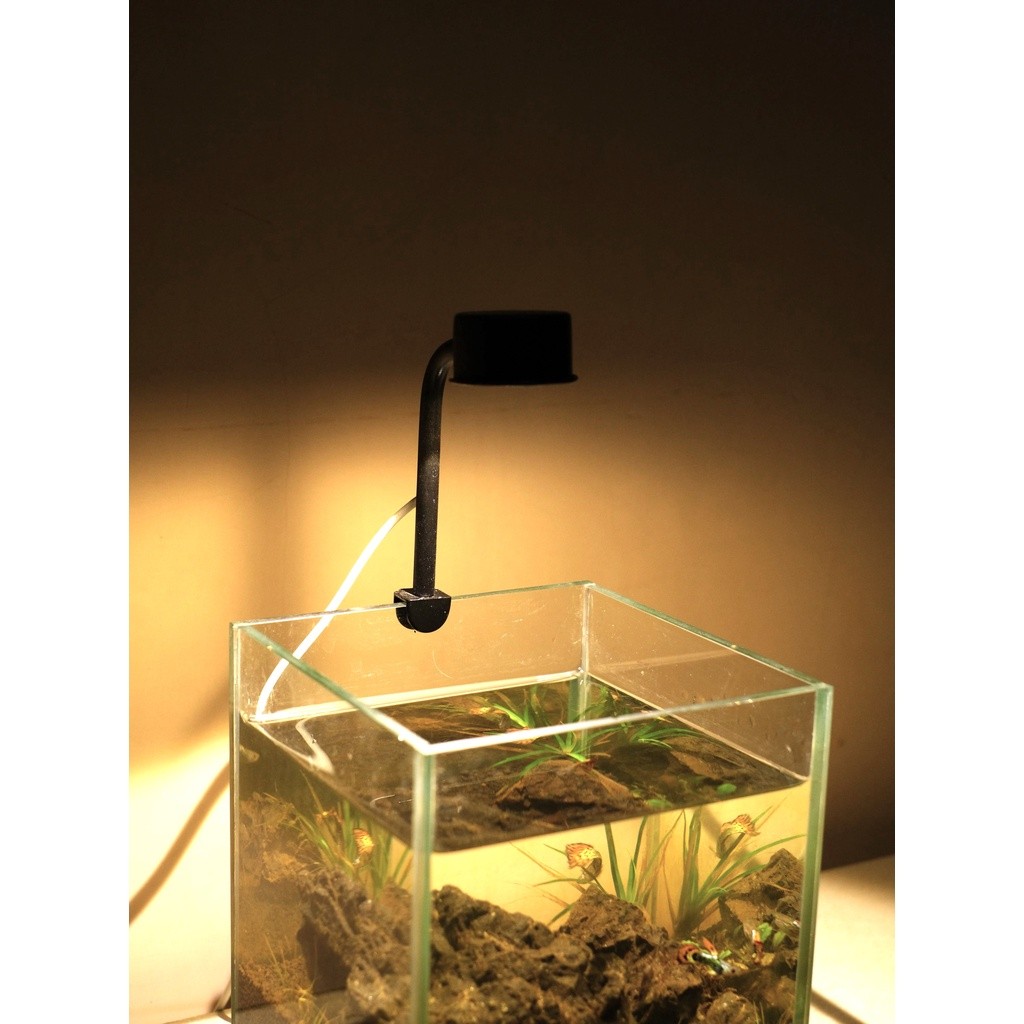 Promo Murah Lampu Bulat Aquarium Aestethic Lampu Kura-Kura Lampu Cupang Lampu LED USB Lampu Channa L