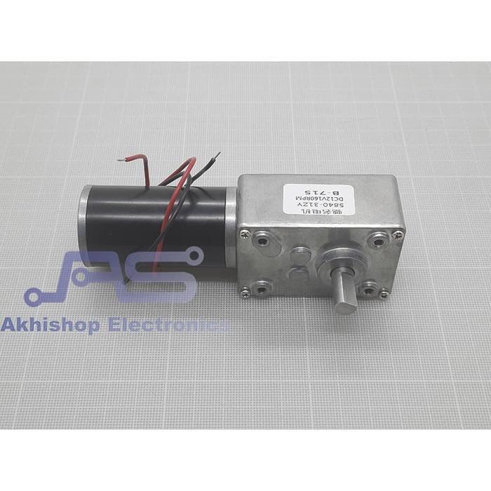 Permanent Magnet Worm Gear Motor DC 4058GW31ZY 12V 160RPM