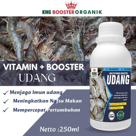 Nutrisi Vitamin Probiotik Udang Vaname Pakan Udang 250ml - Terlaris & Terbaik - udang 250ml