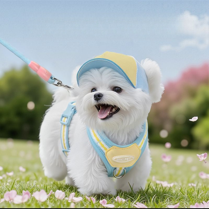 Tali penuntun, kandang anjing, ras anjing kecil, sedang, dan besar
