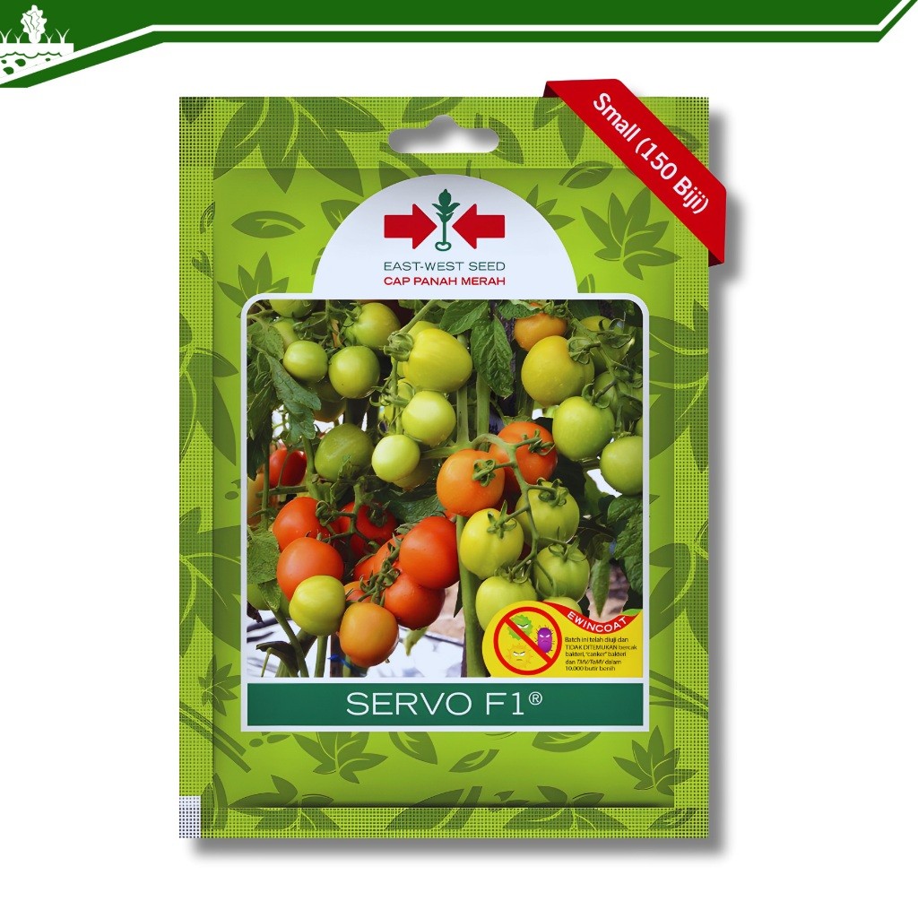 Benih Tomat Servo F1 Hibrida 150 Biji Panah Merah