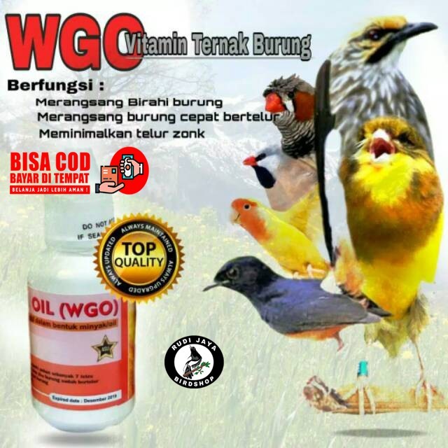 WGO BOTOL PUTIH KARDUS KUNING VITAMIN TERNAK SEMUA BURUNG BREEDING MURAI KACER KENARI LOVEBIRD