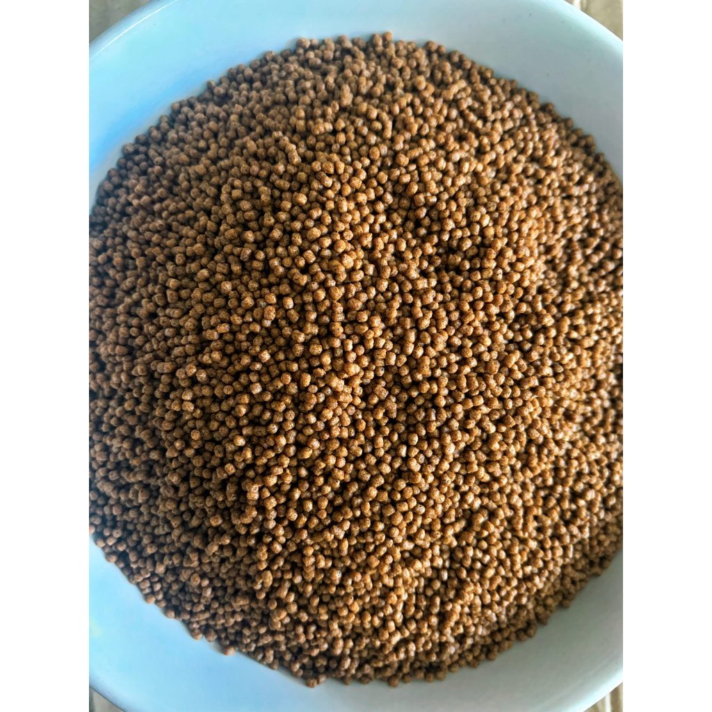 Pelet pakan bibit ikan kecil super (1kg) ikan hias koki glofish cupang neon cardinal danio rednose