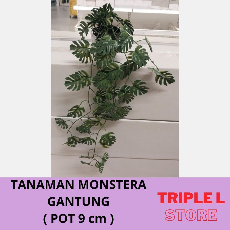 READY Tanaman Palsu Hiasan Artifisial Gantung Tanaman Monstera Dengan Pot  9 cm