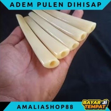 Once Tulang unta murah adem pulen