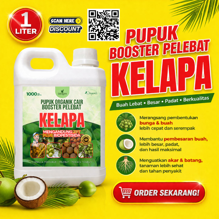 Pupuk Kelapa Agar Cepat Besar Berbuah Lebat Anti rontok  | Pupuk Booster Kelapa Hibriba Hijau Pendek