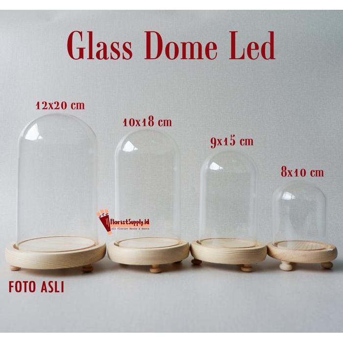 [Termasuk Lampu] Glass Dome Led / Flower Dome Light / Lampu Kubah Kaca - 12 x 26 cm