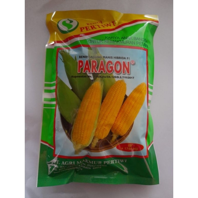 benih jagung /jagung manis Paragon