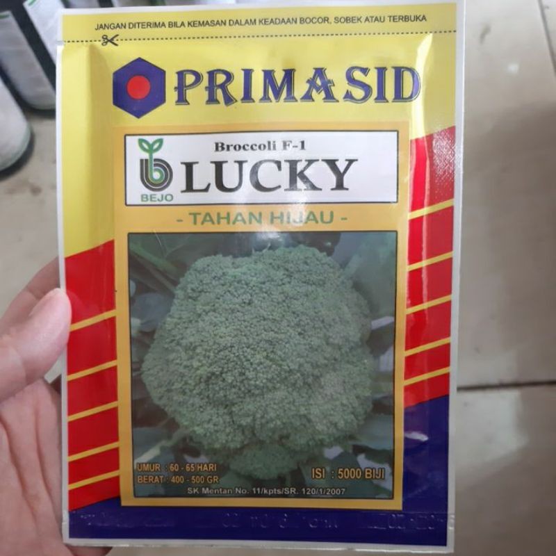 JAMIN MURAH Benih Brokoli Lucky Bejo Primasid 5000 Biji(BISA LANGSUNG ORDER)
