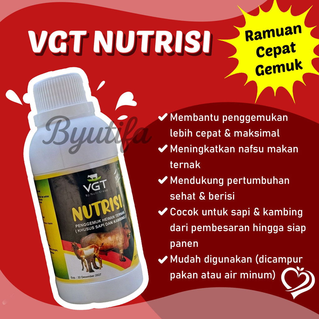 VGT Nutrisi Kambing Domba Sapi 250ml - By Utifa Ternak