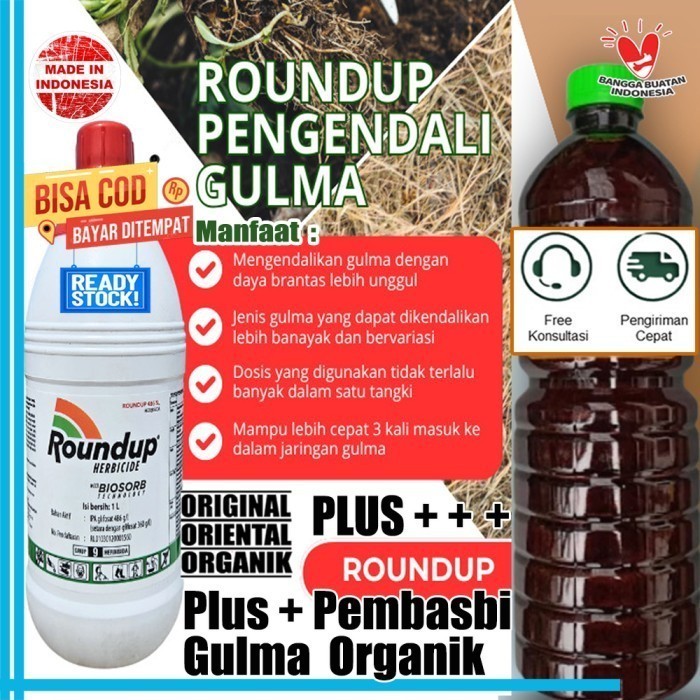 Roundup 1 Liter Plus Cuka Lindomin Pengendali Rumput Herbisida Organik Mengeringkan Gulma