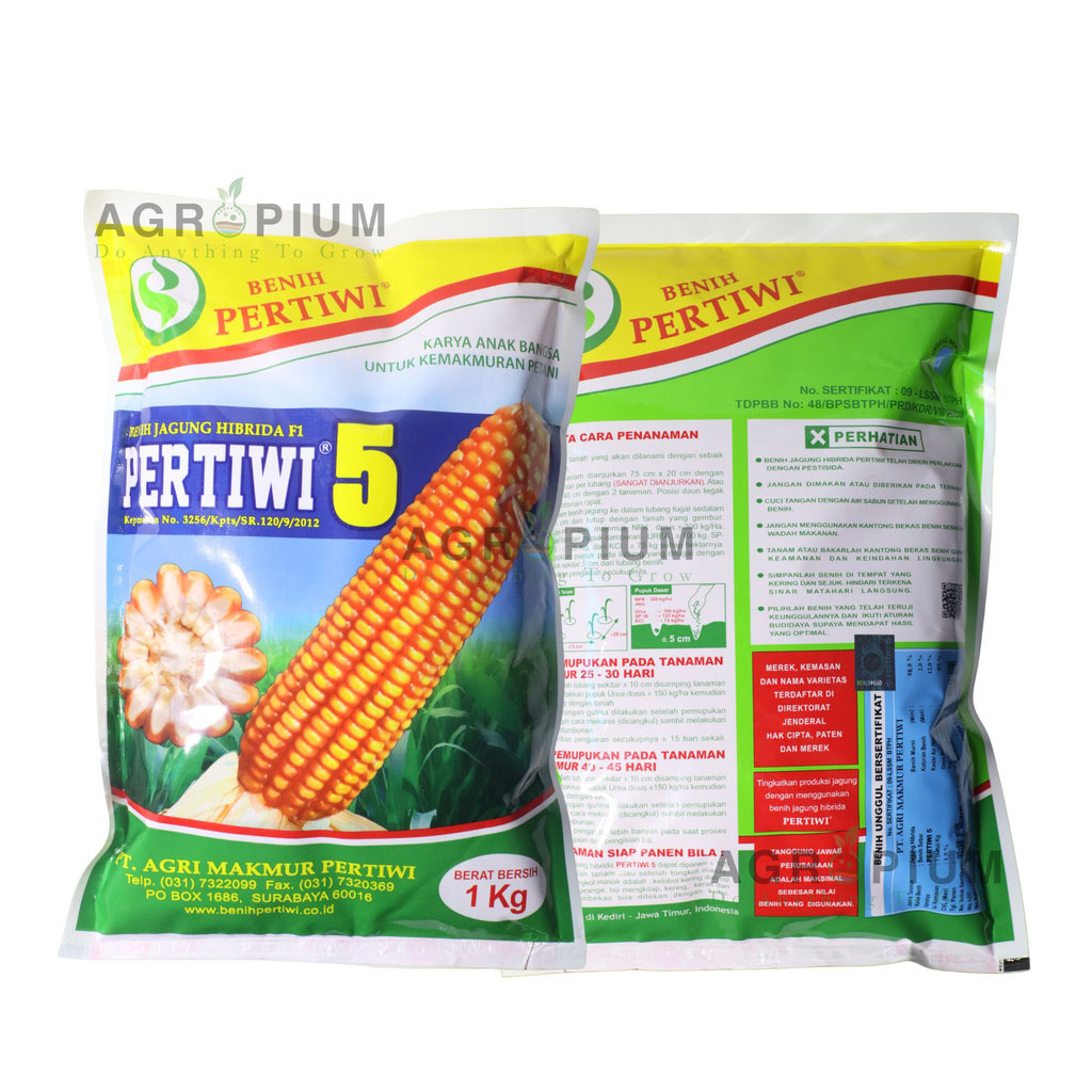 Benih jagung Hibrida F1 PERTIWI 5 Isi 1 Kg Cap Benih Pertiwi