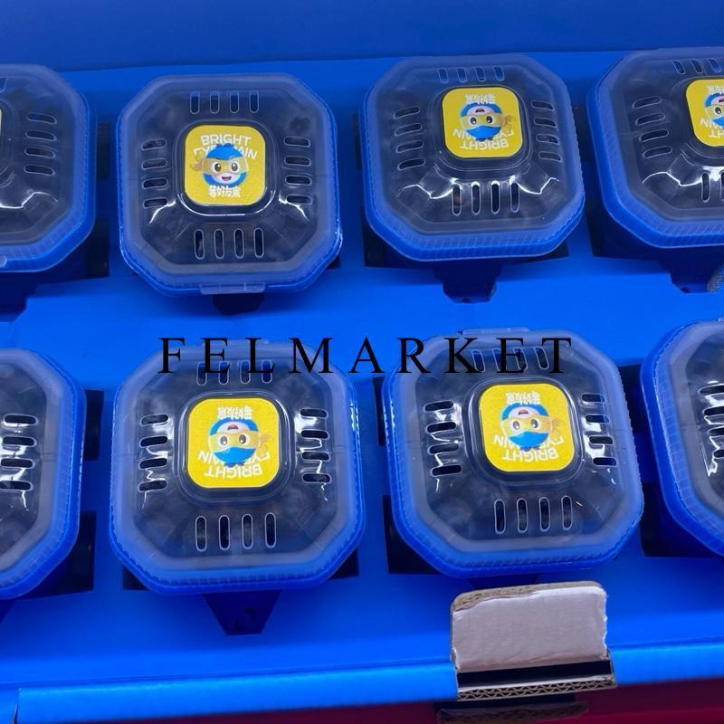 Blueberry Import Fresh Blue / Buah Blueberry  / 1 Cup