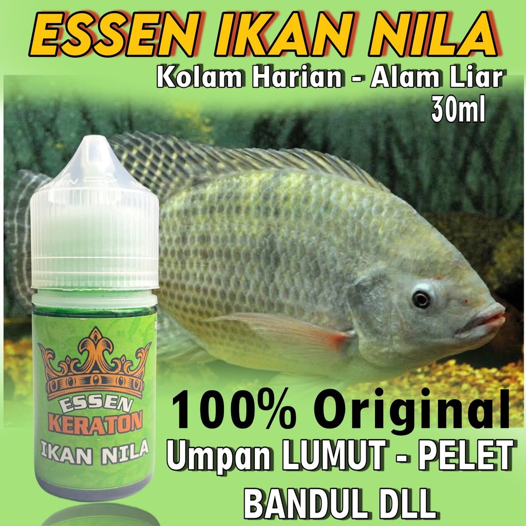 Essen Super Ikan Nila Media Lumut Paling Gacor, Essen Ikan Nila Paling Gacor, Essen Ikan Nila Media 