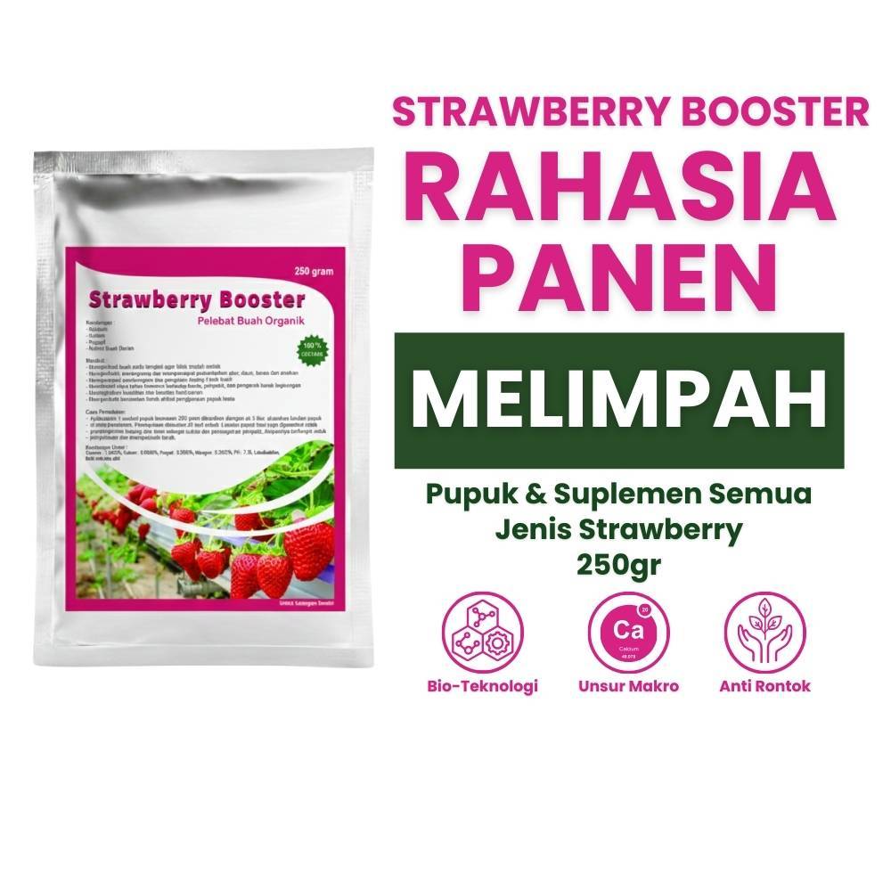 Pupuk Stroberi 250 gram - Pupuk Pelebat Buah Stroberi 250 gram - Pupuk Stroberi Multifungsi