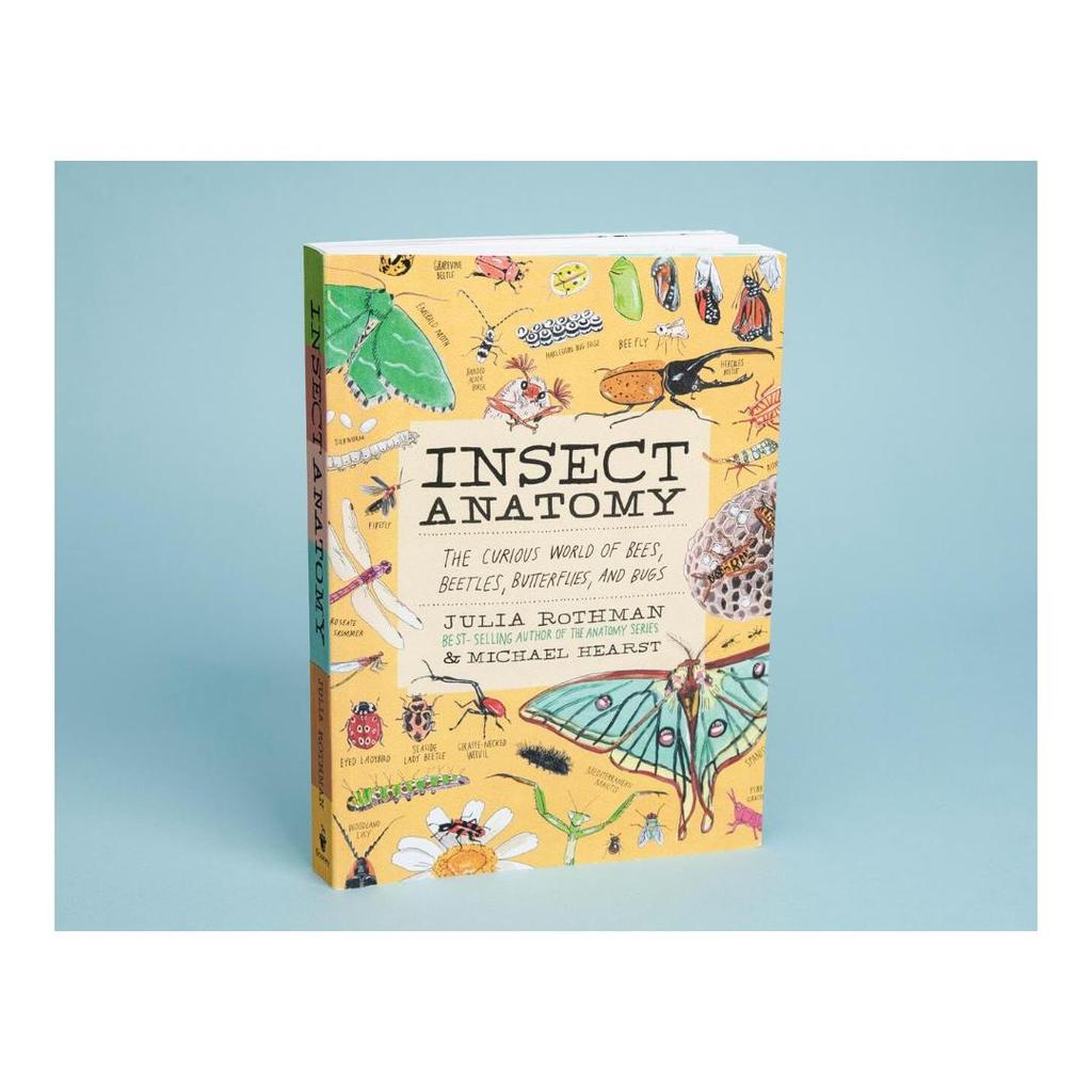 Insect Anatomy: The Curious World of Bees, Beetles, Butterflies, and Bugs Paperback (PB) by Julia Ro