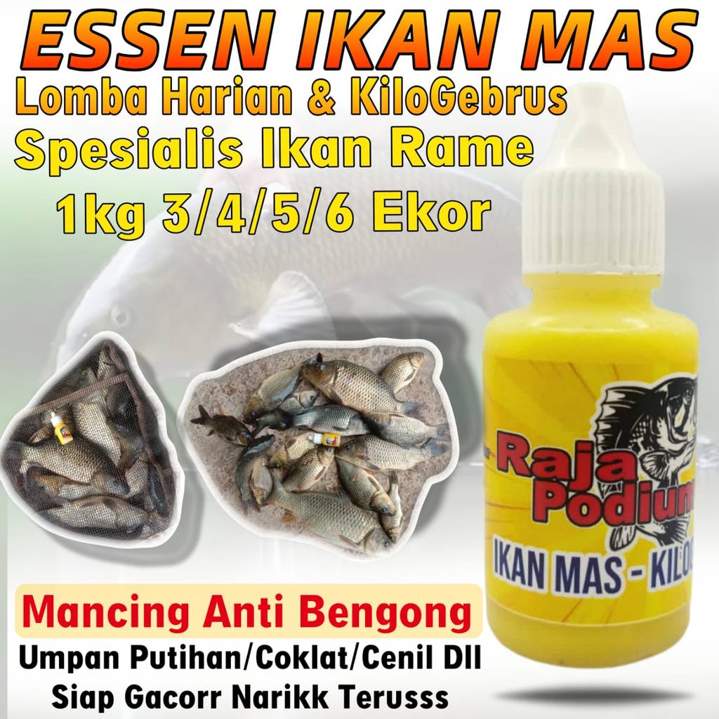 Essen Ikan Mas RAJA PODIUM Khusus Mancing Lomba Harian KiloGebrus Ikan Rame, Essen Ikan Mas Paling A