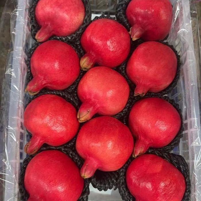 Delima super red - Buah delima super manis biji lunak - delima biji lunak rrc 1 kg