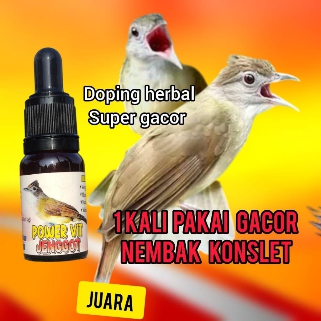 Doping Burung - power vit jenggot penggacor seketika burung cucak jenggot dan kapas tembak bahan dan