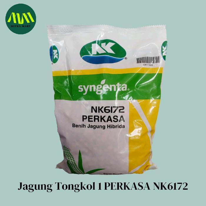 Benih Jagung / Jagung Perkasa NK6172 / Jagung Tongkol 1 / Jagung Syngenta