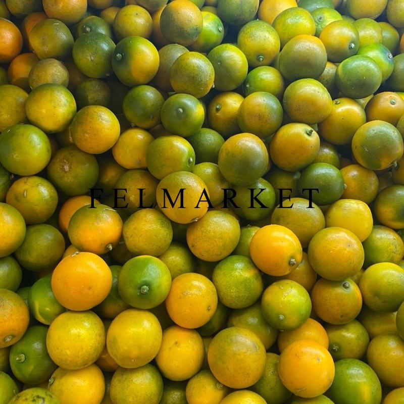 Buah Jeruk Kimkit Madu Fresh / Jeruk Kimkiet Madu Bisa Makan Sama Kulit Nya / 1 Kg