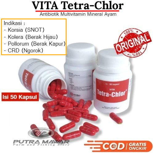 Vita Tetra Chlor / Obat Antibiotik Tetraclor Isi 50 Kapsul Buat Sakit Ayam Aduan Berak Kapur Hijau S