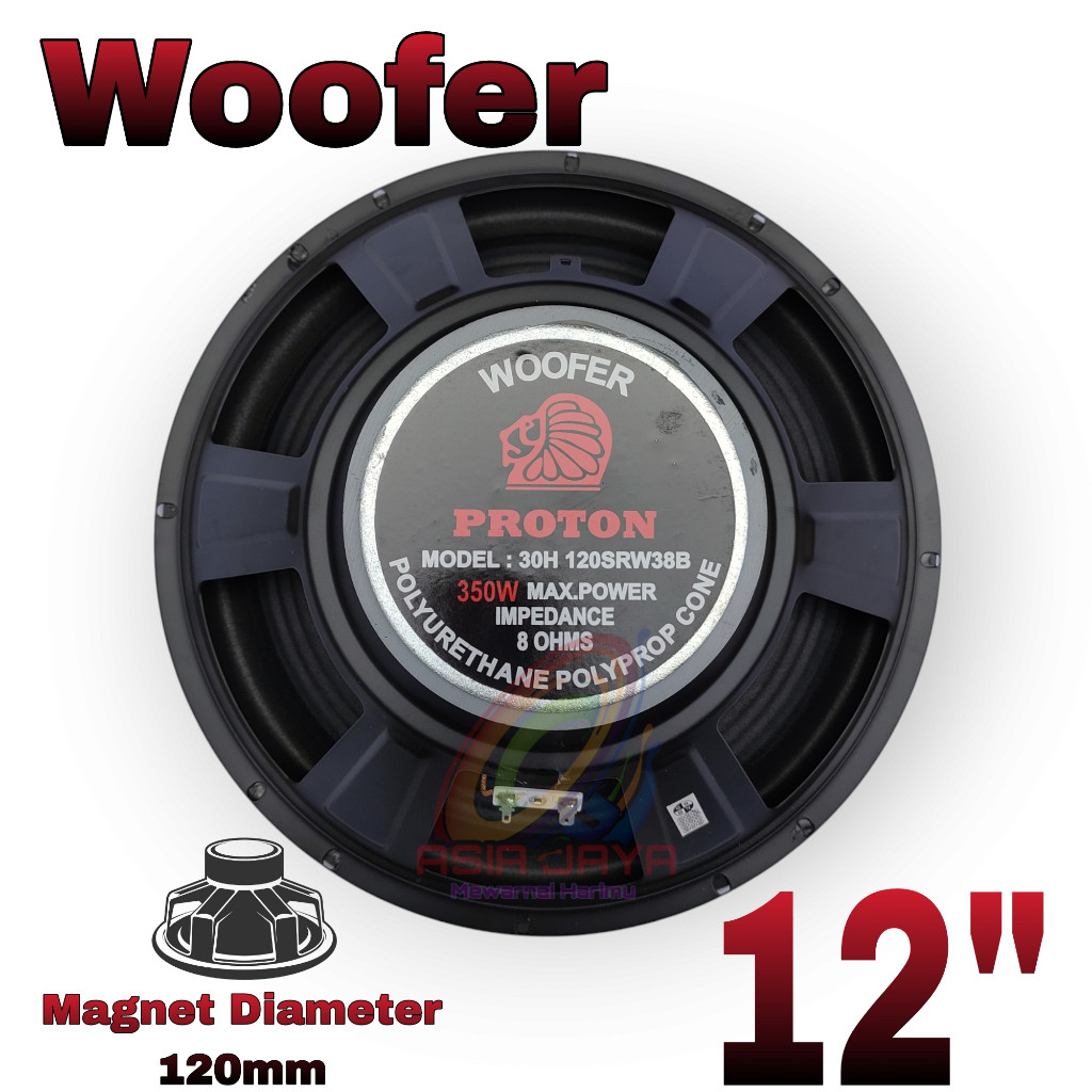 Speaker Woofer 12 Inch Proton 12 30H120SRW38B