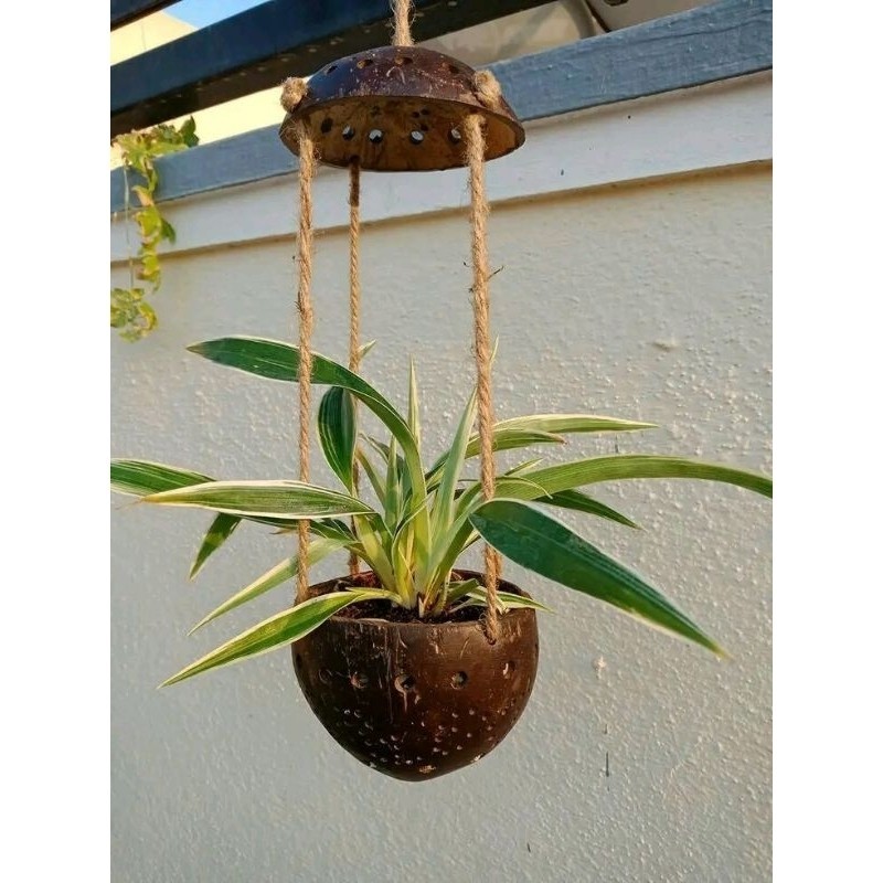pot bunga unik, pot gantung, pot bunga batok kelapa, pot bunga gantung, pot murah, pot gantung