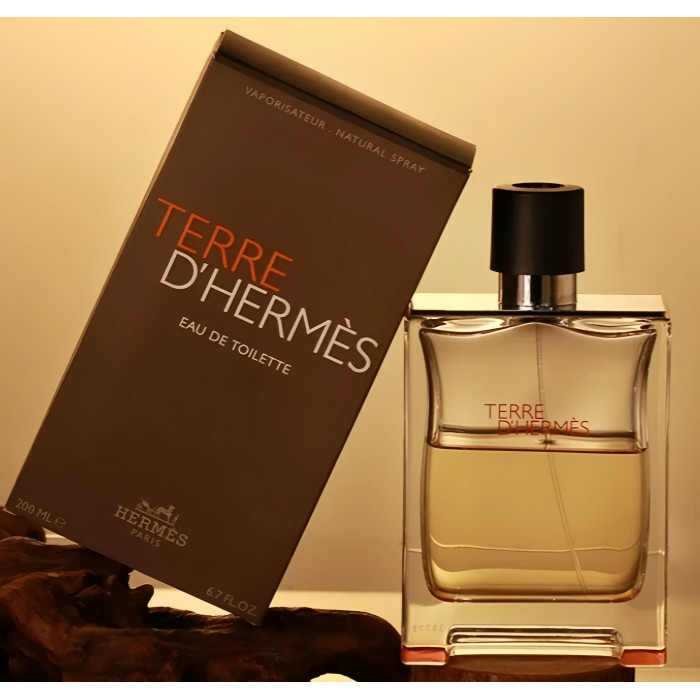 Terre D'Hermes Parfum Hermes Original 100ml EDT