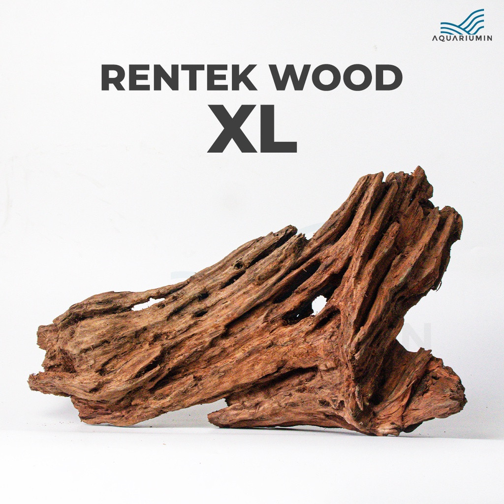 Kayu Rentek / Rentek Wood Size XL Aquascape Aquarium