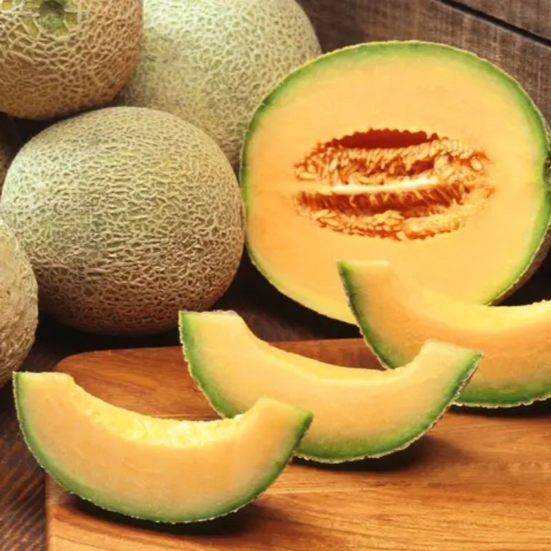 READY BIBIT MELON GOLDEN EMERALD  20 BENIH (B.B.01)