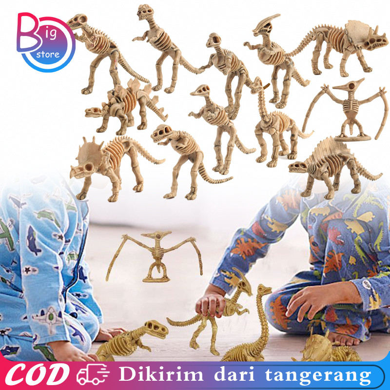 1 Set 12pcs Mainan Fosil Dino Model Kerangka Dinosaurus Fosil Dinosaurus Mainan