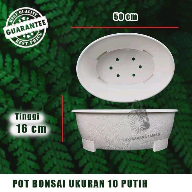POT BONSAI 10 PUTIH Pot Bunga Pot Tanaman Pot Plastik GROSIR POT