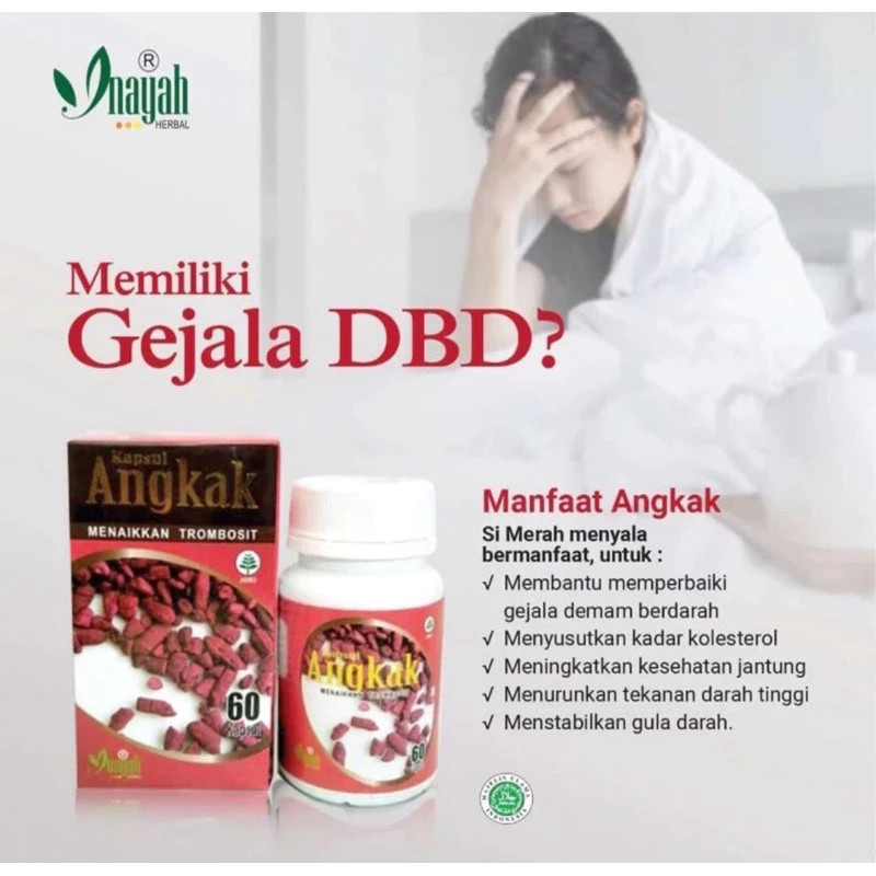 Angkak Kapsul (Red Yeast Rice) - isi 50 kapsul (01)