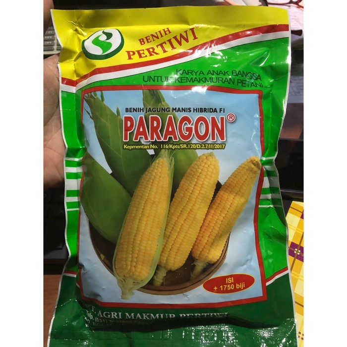 Benih Jagung Manis Paragon (1750 Benih)