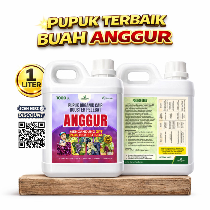 Pupuk Anggur Cepat Berbuah / Pupuk Anggur Masa Pertumbuhan / Pupuk Anggur Berbuah Besar dan Manis / 
