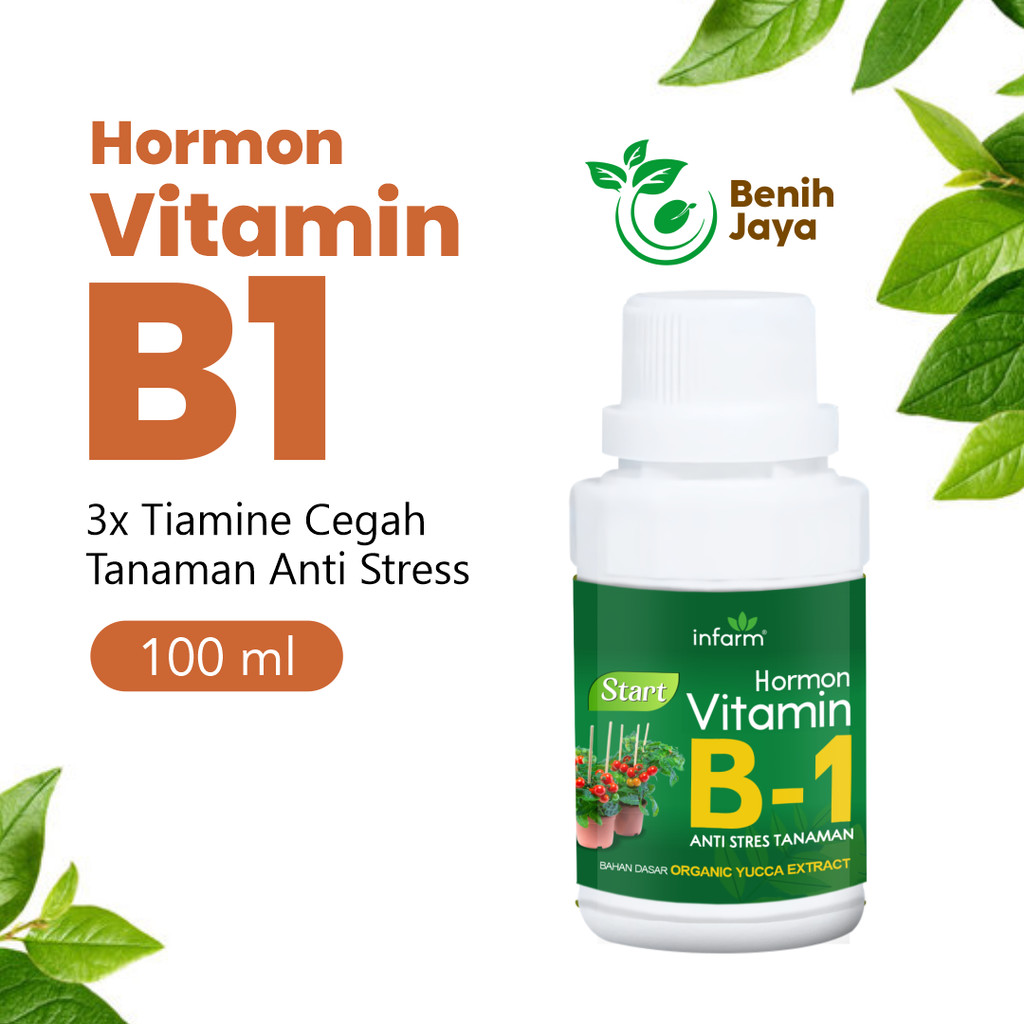 INFARM - Vitamin B1 Premium Infarm 100 ml, Nutrisi Tanaman Anti Stress Kualitas Import Thailand USA