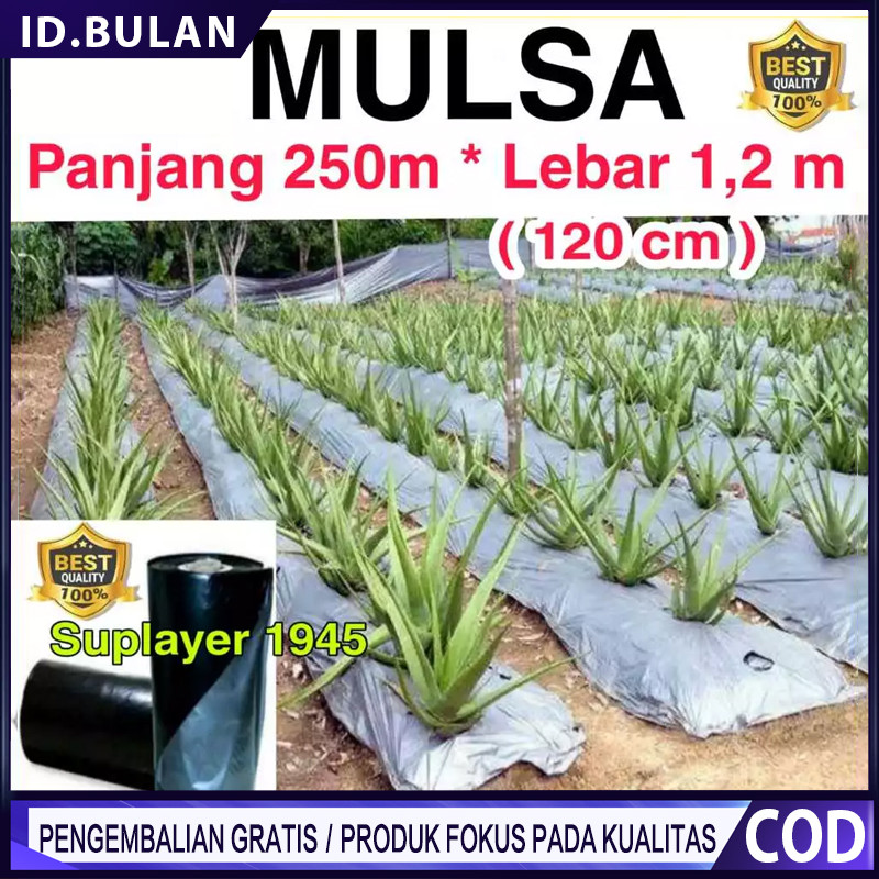 PLASTIK MULSA ( 1 ROLL ) panjang 250 meter * Lebar 120cm (1,2meter)