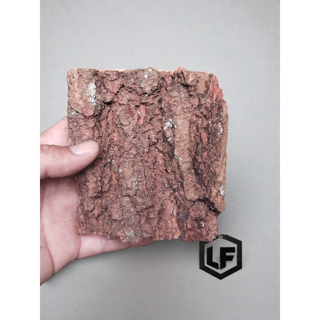 Media Tanam & Ikat Anggrek dan Kadaka – Papan Kulit Kayu Pinus Alami