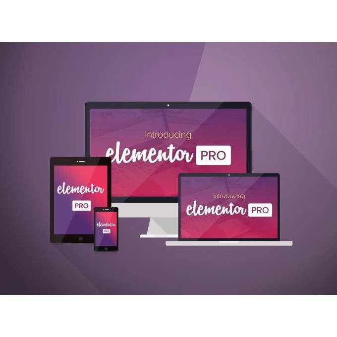 Jual Elementor Pro Wordpress Plugin V.3.0.5 + Elementor Training + Ebook FB & Google Ads