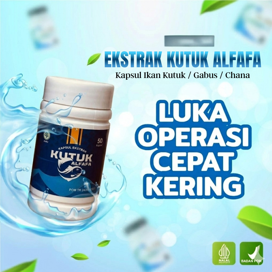 Ekstrak Ikan Gabus Alfafa BPOM - Kapsul Ikan Kutuk Albumin Untuk Luka Operasi Sesar Diabetes